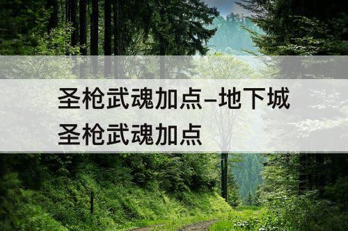 圣枪武魂加点-地下城圣枪武魂加点