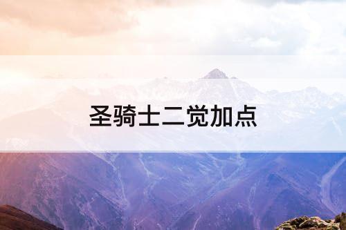 圣骑士二觉加点