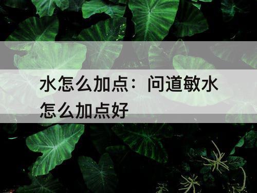 水怎么加点：问道敏水怎么加点好