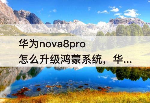 华为nova8pro怎么升级鸿蒙系统，华为nova8pro怎么升级鸿蒙系统2.0