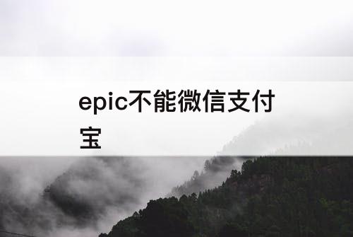 epic不能微信支付宝