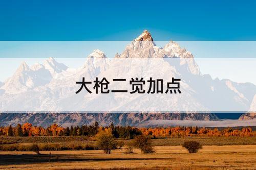 大枪二觉加点