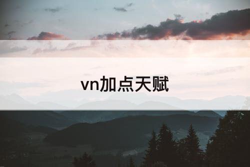 vn加点天赋