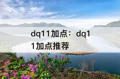 dq11加点：dq11加点推荐