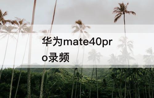 华为mate40pro录频