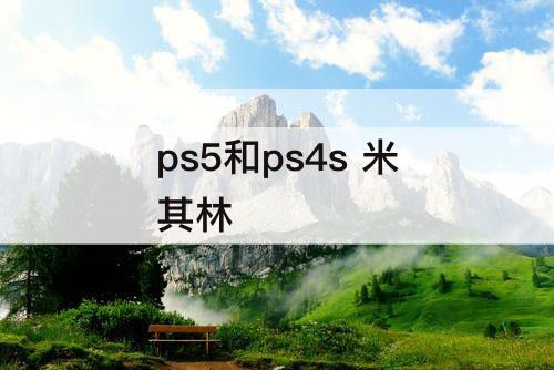 ps5和ps4s 米其林