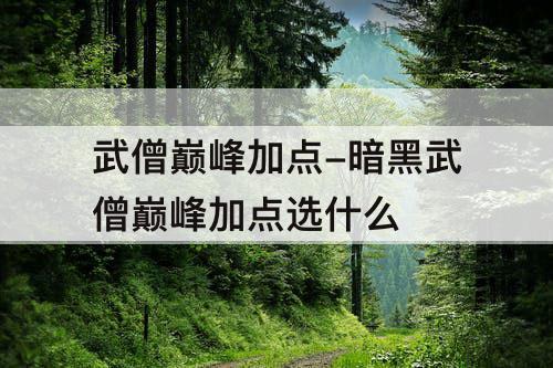 武僧巅峰加点-暗黑武僧巅峰加点选什么
