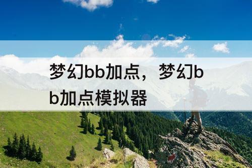 梦幻bb加点，梦幻bb加点模拟器