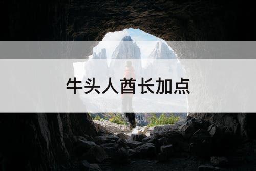 牛头人酋长加点