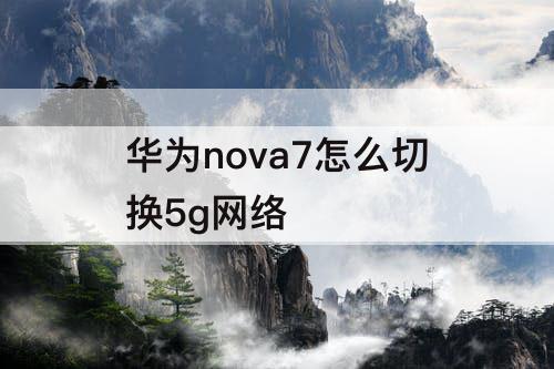 华为nova7怎么切换5g网络