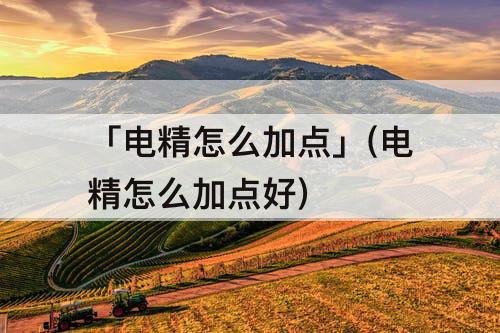 「电精怎么加点」(电精怎么加点好)