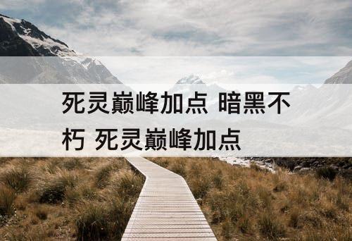 死灵巅峰加点 暗黑不朽 死灵巅峰加点