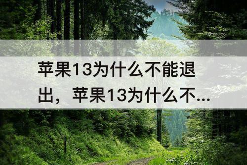 苹果13为什么不能退出，苹果13为什么不能退出ID