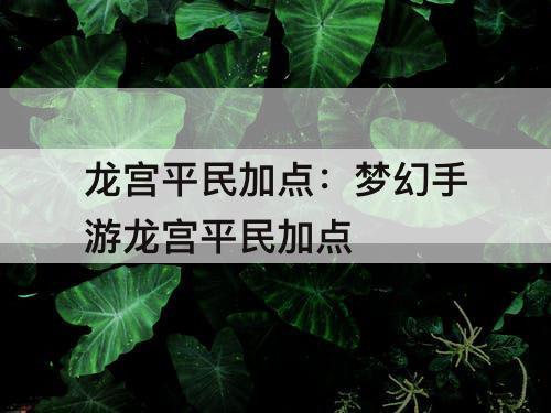 龙宫平民加点：梦幻手游龙宫平民加点