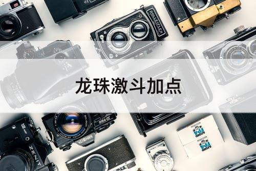 龙珠激斗加点