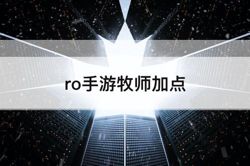 ro手游牧师加点