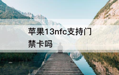 苹果13nfc支持门禁卡吗