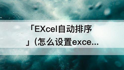 「EXcel自动排序」(怎么设置excel自动排序的格式)