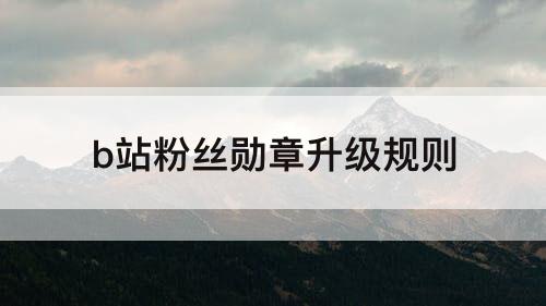 b站粉丝勋章升级规则