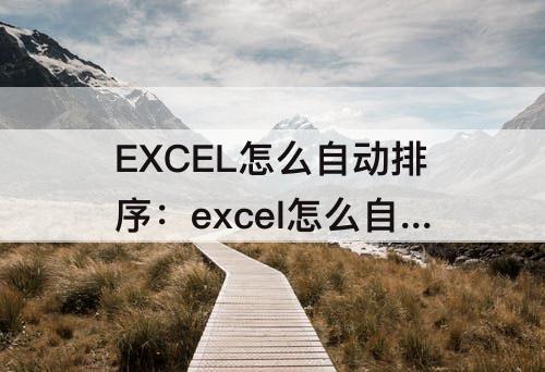 EXCEL怎么自动排序：excel怎么自动排序公式