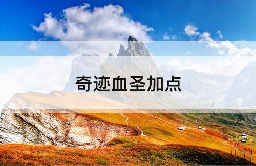 奇迹血圣加点