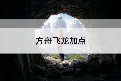 方舟飞龙加点