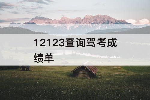 12123查询驾考成绩单