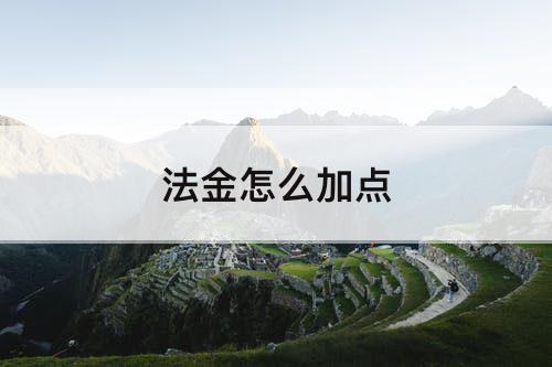 法金怎么加点