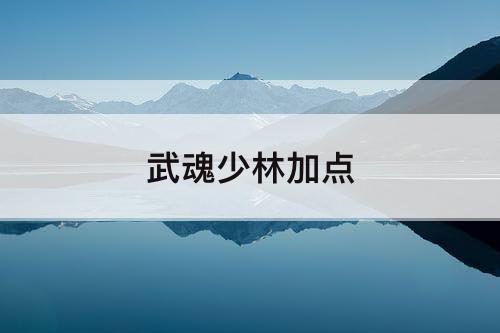 武魂少林加点
