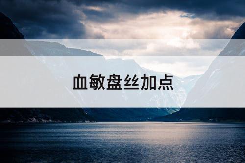 血敏盘丝加点
