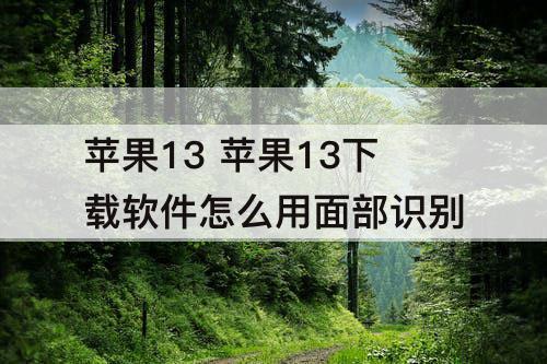 苹果13 苹果13下载软件怎么用面部识别