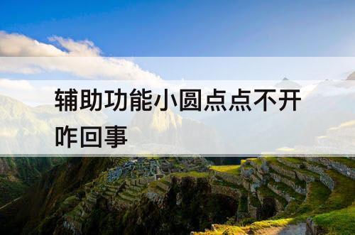 辅助功能小圆点点不开咋回事