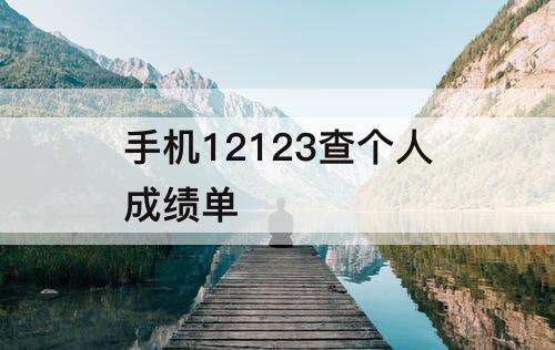 手机12123查个人成绩单
