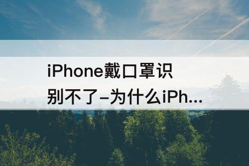 iPhone戴口罩识别不了-为什么iPhone戴口罩识别不了