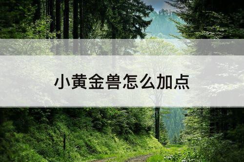 小黄金兽怎么加点