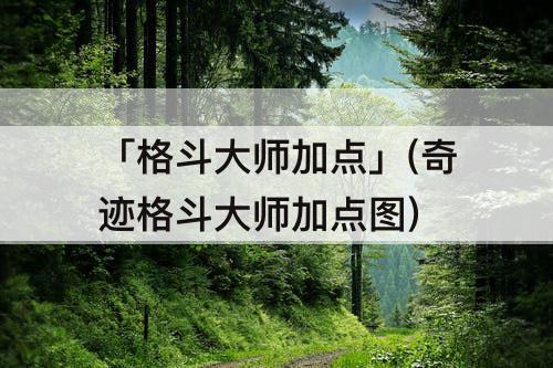 「格斗大师加点」(奇迹格斗大师加点图)