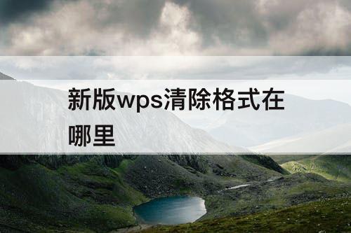 新版wps清除格式在哪里