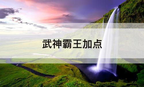 武神霸王加点