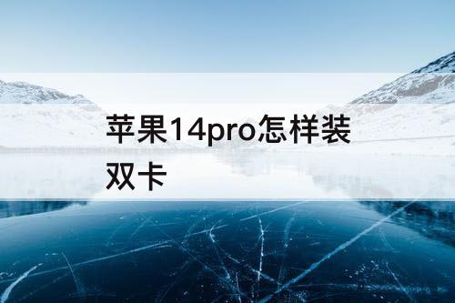 苹果14pro怎样装双卡