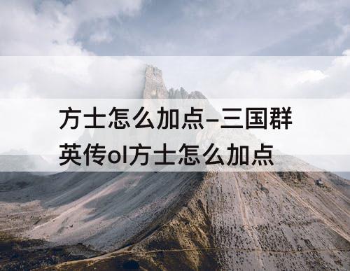 方士怎么加点-三国群英传ol方士怎么加点