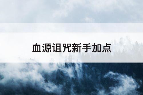 血源诅咒新手加点