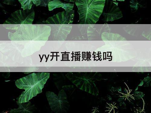 yy开直播赚钱吗