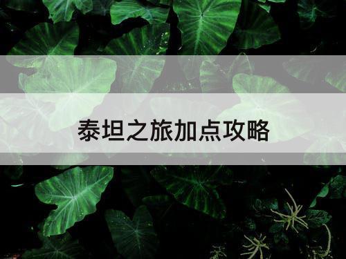泰坦之旅加点攻略