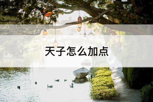 天子怎么加点