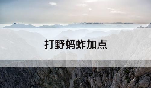 打野蚂蚱加点