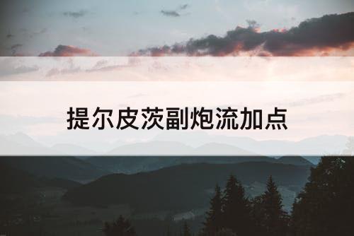 提尔皮茨副炮流加点