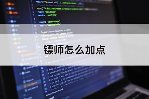 镖师怎么加点