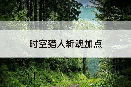 时空猎人斩魂加点