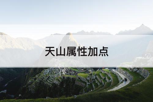 天山属性加点
