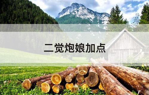 二觉炮娘加点